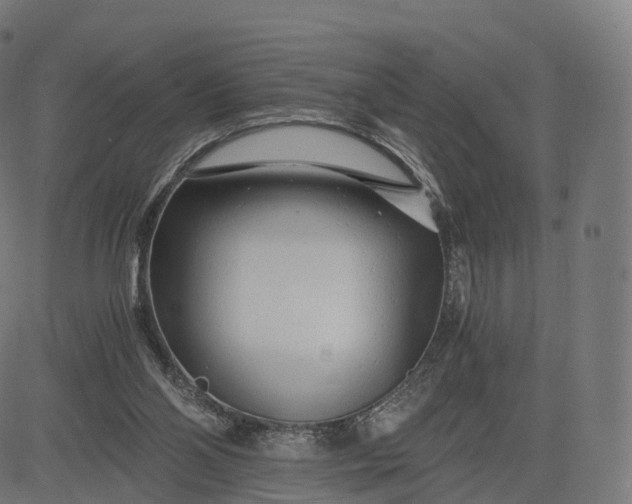 X0000084550110200703091729