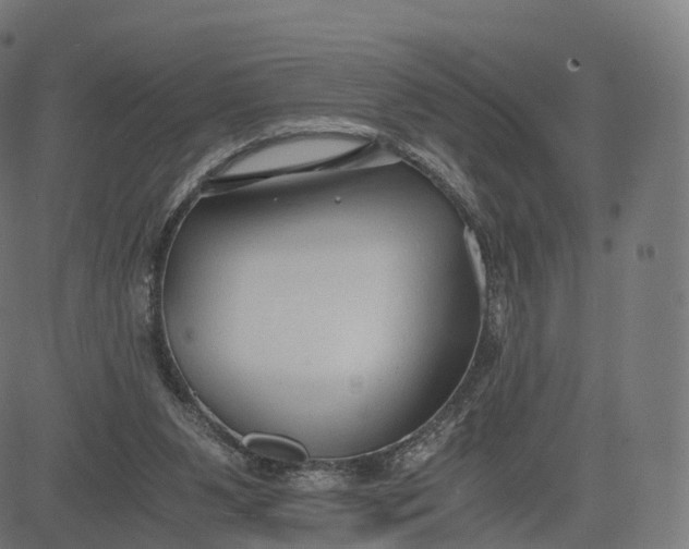 X0000084550111200703091729