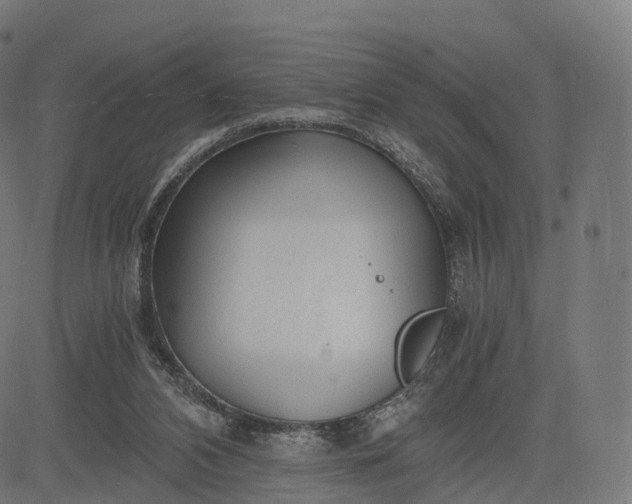 X0000084550112200703091729