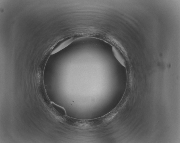 X0000084550113200703091729