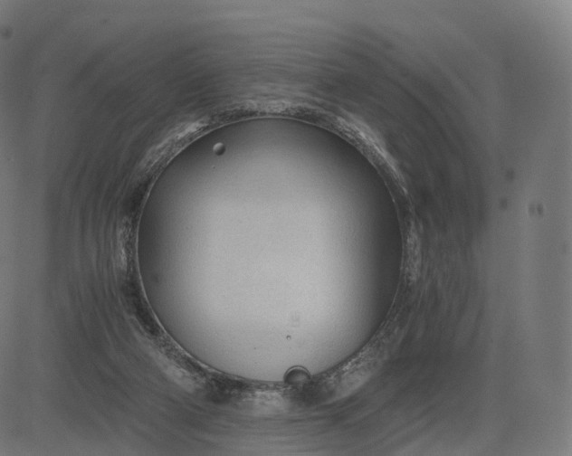 X0000084550114200703091729