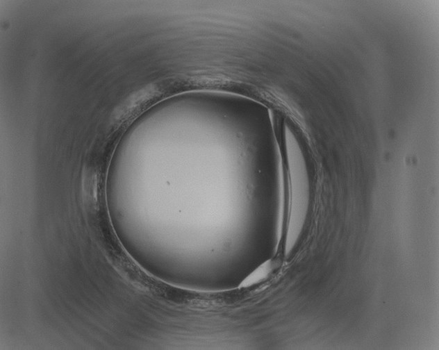 X0000084550115200703091729