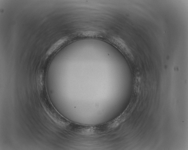 X0000084550116200703091729