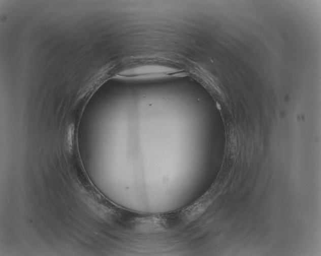 X0000084550118200703091729