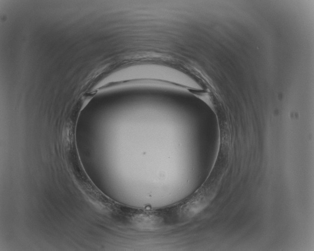 X0000084550119200703091729