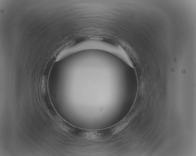 X0000084550121200703091729