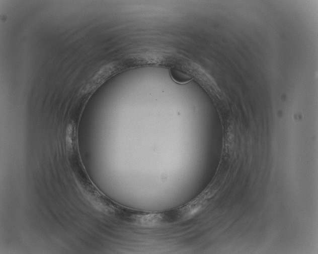 X0000084550122200703091729