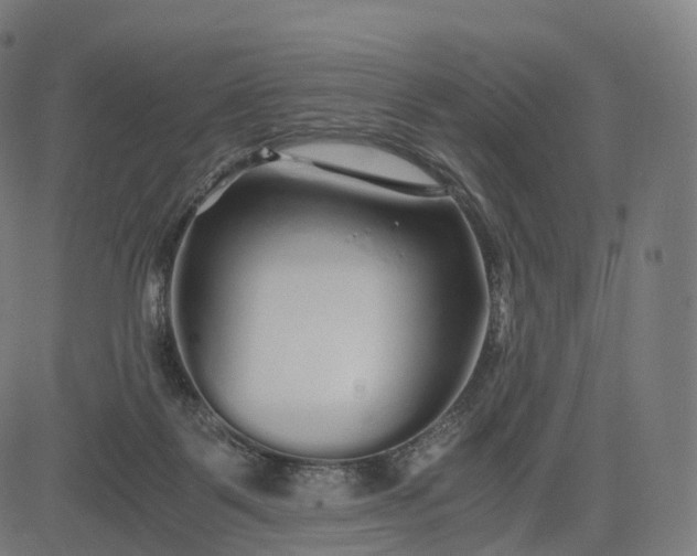 X0000084550123200703091729