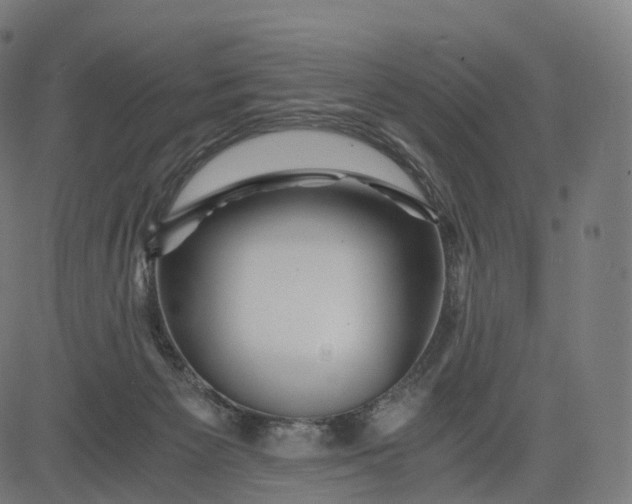 X0000084550125200703091729