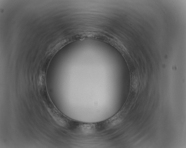 X0000084550126200703091729