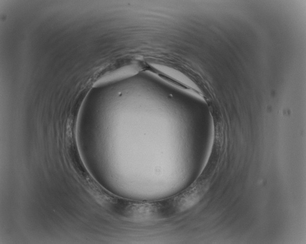 X0000084550127200703091729