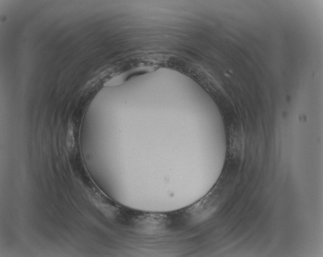 X0000084550128200703091729