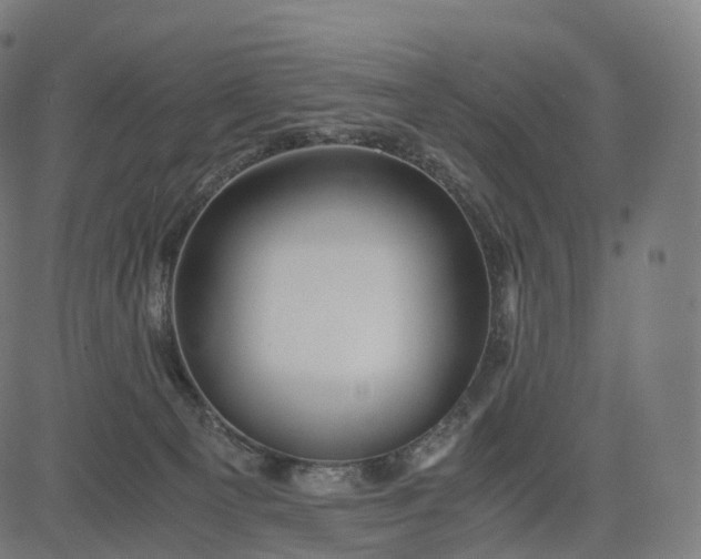 X0000084550129200703091729