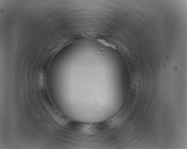 X0000084550130200703091729