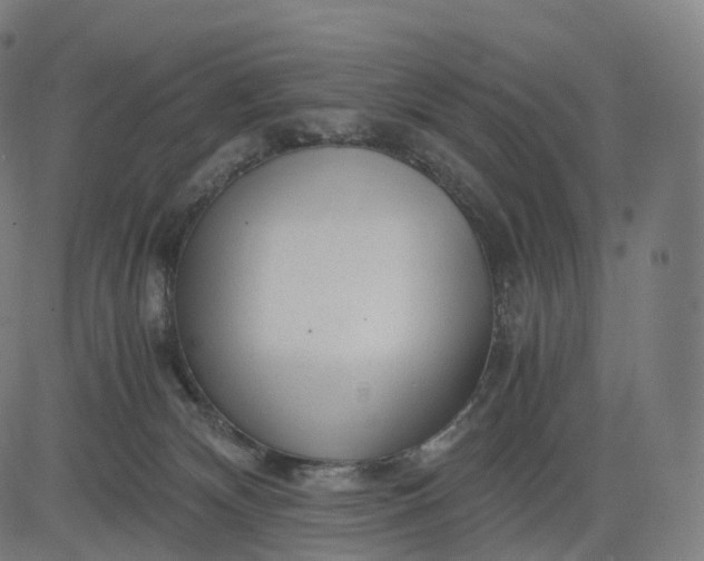 X0000084550132200703091729