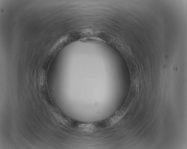 X0000084550133200703091729