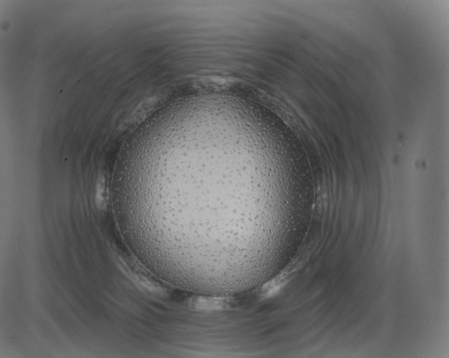 X0000084550134200703091729