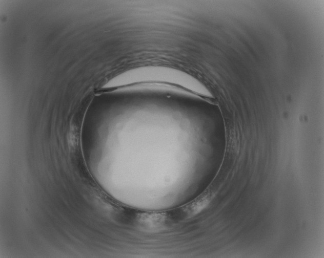 X0000084550135200703091729