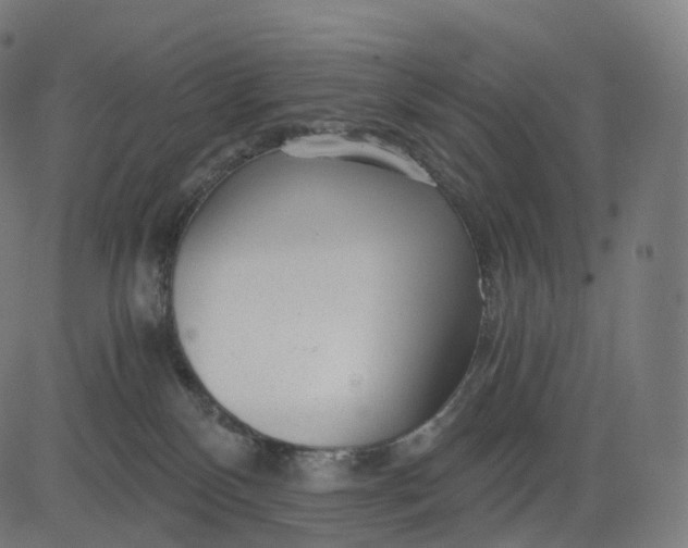 X0000084550136200703091729