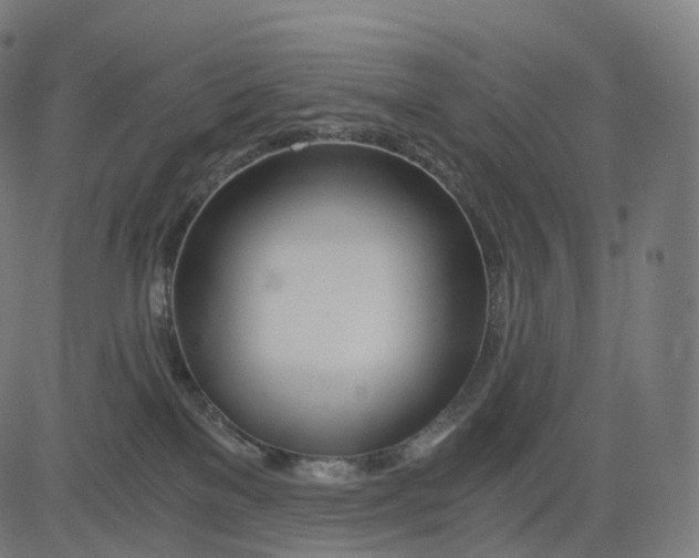 X0000084550137200703091729