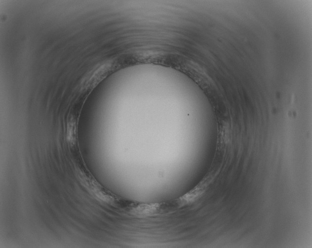 X0000084550138200703091729