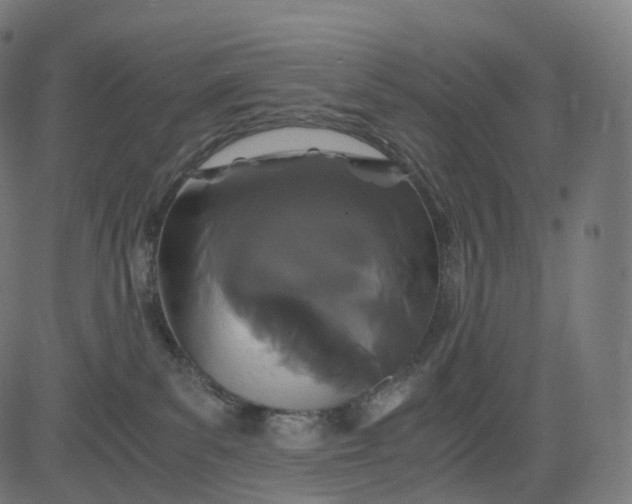 X0000084550139200703091729