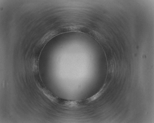 X0000084550140200703091729