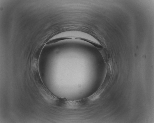 X0000084550141200703091729