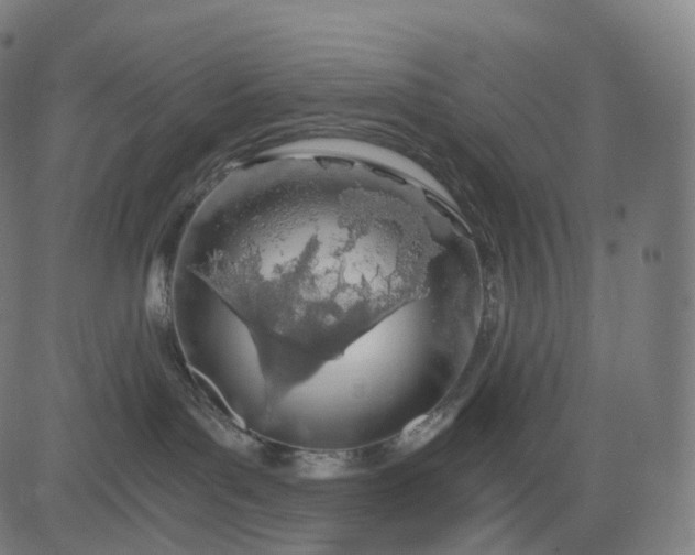 X0000084550143200703091729