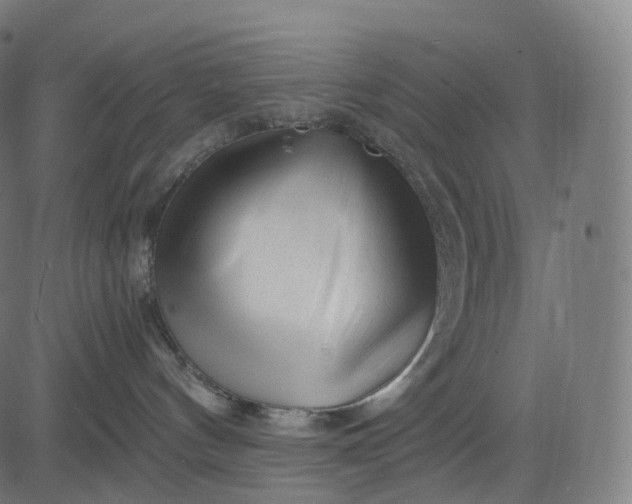 X0000084550144200703091729