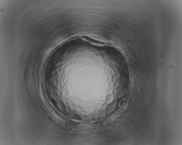 X0000084550145200703091728