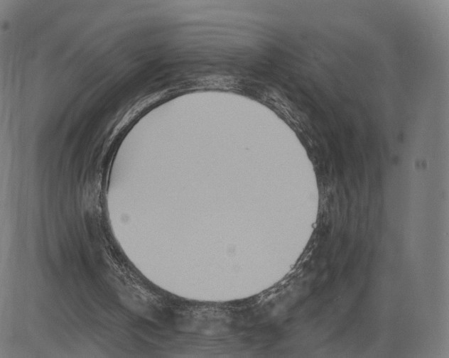 X0000084550146200703091728