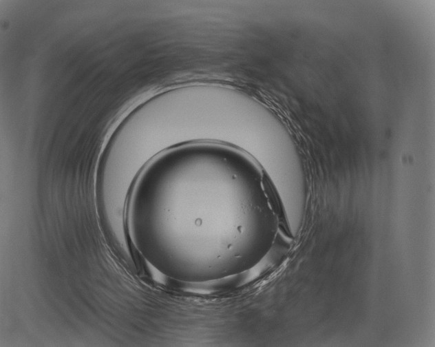 X0000084550148200703091728