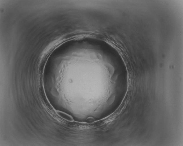 X0000084550149200703091728