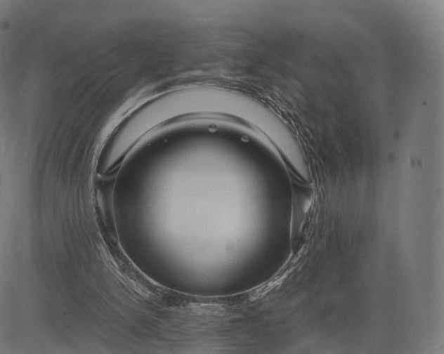 X0000084550150200703091728