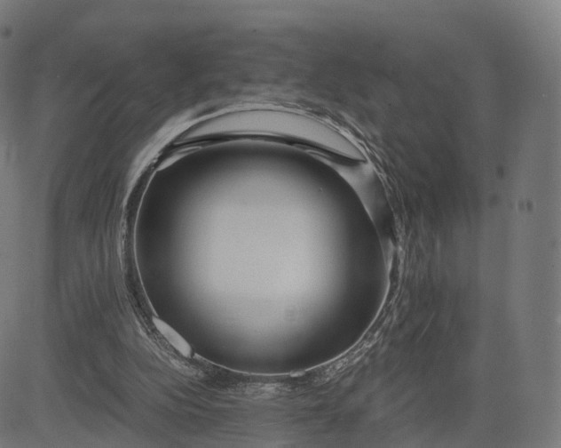 X0000084550152200703091728