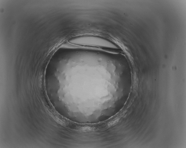 X0000084550153200703091728