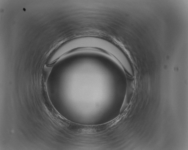 X0000084550154200703091728