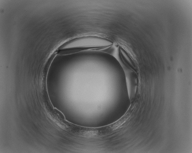 X0000084550156200703091728