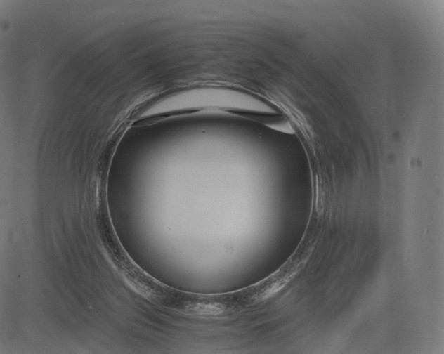 X0000084550157200703091728