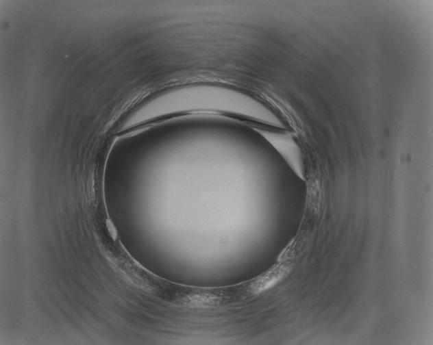 X0000084550158200703091728