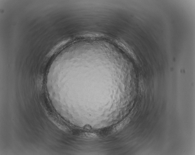 X0000084550159200703091728