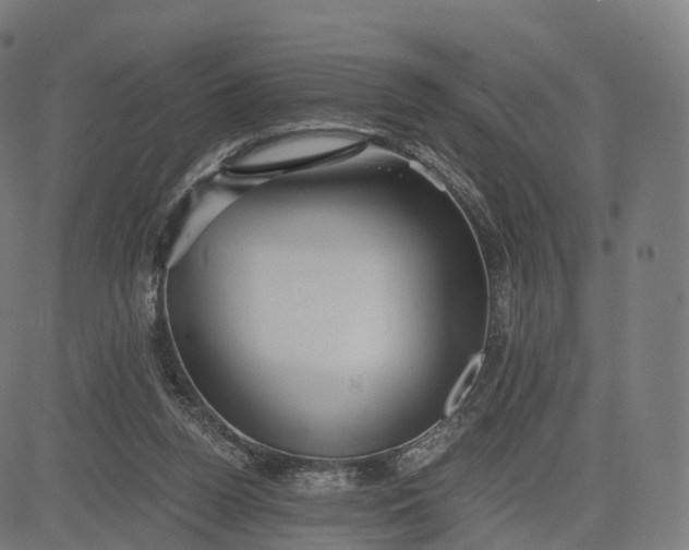 X0000084550160200703091728