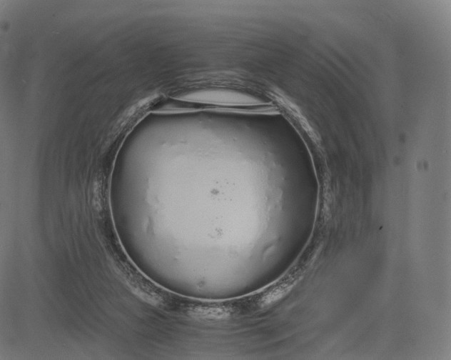 X0000084550161200703091728