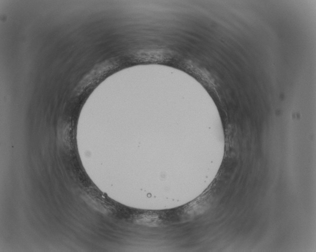 X0000084550162200703091728