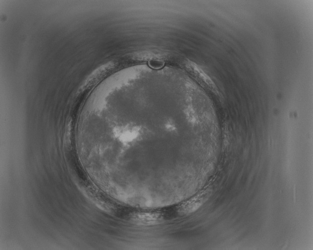 X0000084550163200703091728