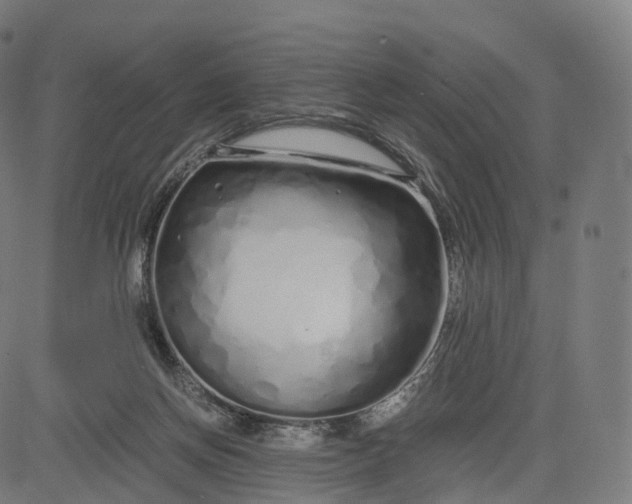 X0000084550166200703091728