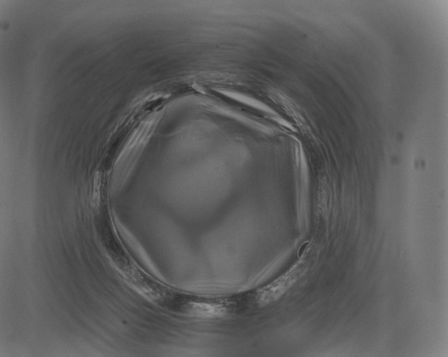 X0000084550167200703091728