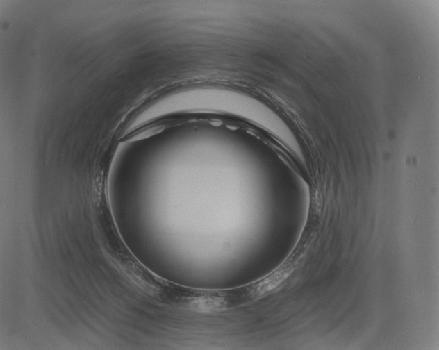 X0000084550168200703091728