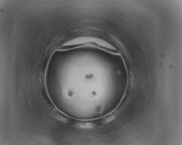 X0000084550169200703091728